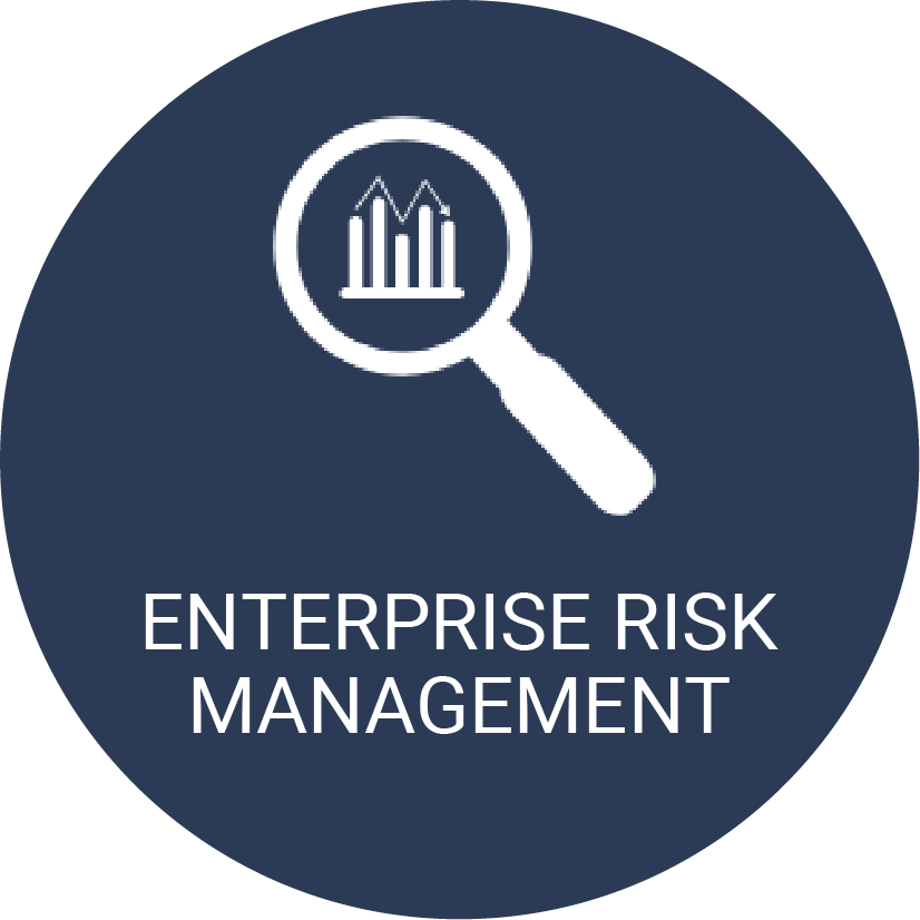 Enterprise Risk Management - Warbird Consulting Partners