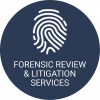 Forensic Review & Litigation Services