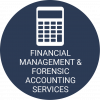 Financial Management & Forensic Accounting Services