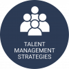 Talent Management Strategies